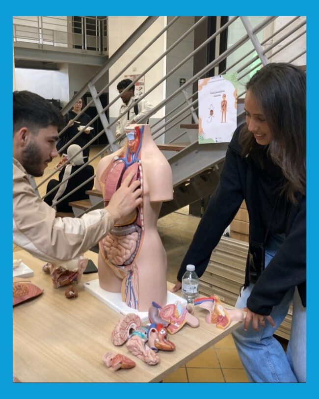 images article 1111_page-0001