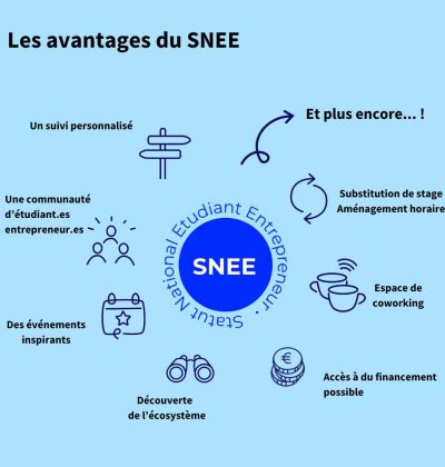 image 1 economie locale - Avantages-SNEE- source pepite-pdl.fr