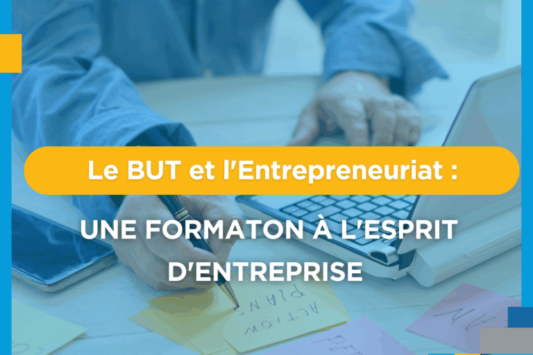 BUT entrepreunariat